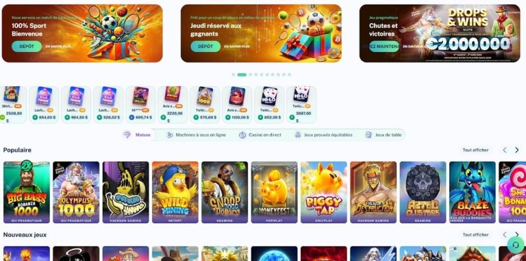 DailySpins Casino jeux